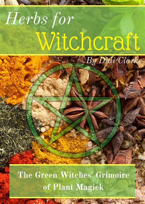 Herb-Based Spellwork: Infusing your spells with the power of plant symbols in witchcraft